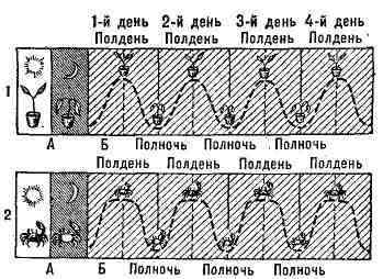 0351-4.jpg