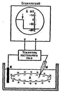 0353-11.jpg