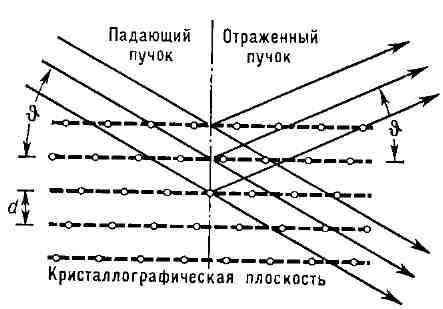 10083-5.jpg""266""266""266""266""266""266""185