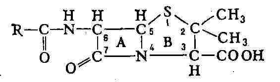 1924-1.JPG