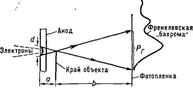 2201-8.jpg